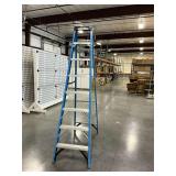 Werner FS108 8-Foot Fiberglass Stepladder
