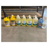 Assorted Cleaning and Sanitizing Supplies