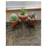 Metal Plant Stand with Potted Cacti and Succulent Arrangement