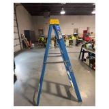 Werner FS106 Mk 14 6-Foot Fiberglass Stepladder