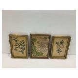 (3) Framed Prints with Botanical Art and Typography