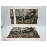 (3) Jim Foote Ruffed Grouse Wildlife Prints 1981