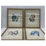 (4) Framed Bird Prints Signed by Artist