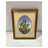 Sam Timm Framed Meadowlark Art Print