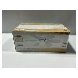 Turn of the Century 30 in. Low Profile Ceiling Fan in Box