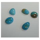 (5) Natural Patagonia Turquoise Cabochons..30.00 carats