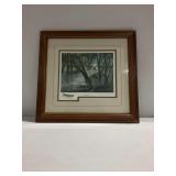 Gene Roncka Framed Print "Backwater"