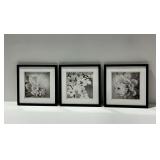 (3) Framed Floral Black and White Photography Prints