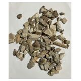 Petrified Wood Specimen Lot