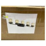 Emliviar 5-Light Vanity Light Fixture New in Box