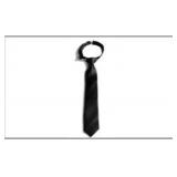 Pre-Tied Tie – 100% Microfiber Polyester - Style: 4221FB Colors: Assorted