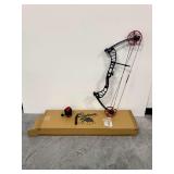 Cajun Shore Runner Compound Bowfishing Bow with Reel and Accessories
