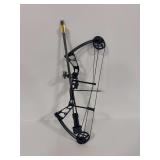 Compound Bow with Quiver, Arrows, and Sight