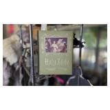 Green King James Version Holy Bible