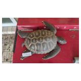 Plastic Turtle Wall Ornament