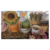 Planters with Rooting Cacti Plants