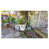 Premier Sun Combo Potted Plant