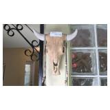 Bovine Skull Wall Hanging with Horns