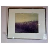 Framed Frosted Corn Photograph