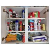 Household Cleaning Supply Lot