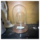 Glass Cloche With Wooden Base