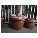 Terracotta Pots With Plants and Rocks