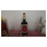 Tropical Creamy Head Sloe Gin