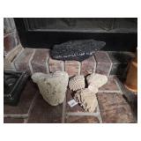 West Virginia Coal and Stony Corals