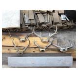 Lot of 4 Whitetail Deer Antler Skull Caps