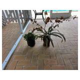 Oncidium Orchid and Faux Greenery Planter Lot