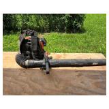 Echo Gas-Powered Backpack Leaf Blower