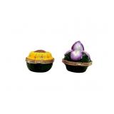 Floral Porcelain Hinged Trinket Boxes