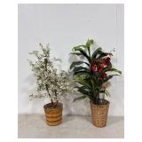2 - Decorative Plants