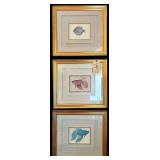 3 FRAMED AND MATTED JEAN CASSIDY FISH PRINTS