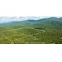 Tellico Plains, TN Absolute Auction