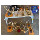 APPROXIMATELY 17 PAIRS OF DEER ANTLERS