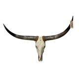 LONGHORN WALL SKULL AND HORNS WALL DECORATION