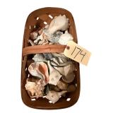WOVEN BASKET W/ NICE ASSORTMENT OF SEASHELLS