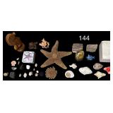 2 DRIED STARFISH, ASSORTED SEASHELLS, ROCKS AND MINERAL SPECIMENS, CARVED WOOD SEAHORSE AND TURTLE FIGURES, SMALL DOLPHIN FIGURINE, STARFISH-MOTIF COASTERS, AND OTHER COASTAL DECOR