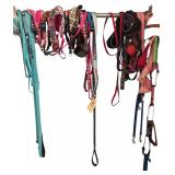 ASSORTED DOG HARNESSES, LEASHES, COLLARS, AND TETHERS