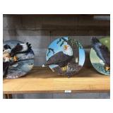 Shelf Lot-American bald eagle lot