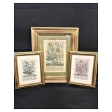 Vtg Robert Furber Flower of Month Picture Lot