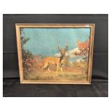 Vntage Deer Picture
