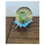 Preserved Rose Water Globe