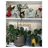 Content of Shelves