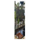 Plant Stand/Indoor House Plant Lot