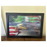 American Eagle Picture