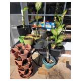 Plant Lot