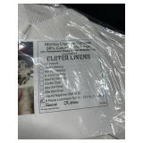 8 Pc Luncheon Set-13x19 and 18x18