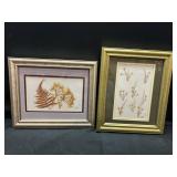 vintage framed pressed botanical specimens